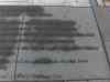 HPIM0923.JPG - 2006:04:23 11:36:55