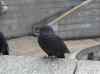 HPIM0964.JPG - 2006:04:23 13:48:06