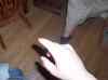 HPIM1024.JPG - 2006:04:24 08:05:12