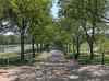 HPIM1054.JPG - 2006:04:24 11:03:15