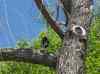 HPIM1106.JPG - 2006:04:24 12:12:16
