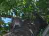 HPIM1127.JPG - 2006:04:24 12:40:43