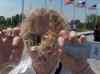 HPIM1132.JPG - 2006:04:24 13:06:46