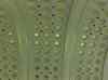 HPIM1158.JPG - 2006:04:24 14:46:08