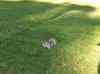 HPIM1181.JPG - 2006:04:24 17:58:49