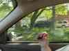 HPIM1237.JPG - 2006:04:25 09:28:41