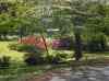 HPIM1265.JPG - 2006:04:25 11:37:25