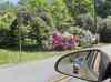 HPIM1267.JPG - 2006:04:25 11:38:22