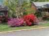 HPIM1273.JPG - 2006:04:25 11:40:37