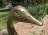 HPIM1278.JPG - 2006:04:25 11:45:58