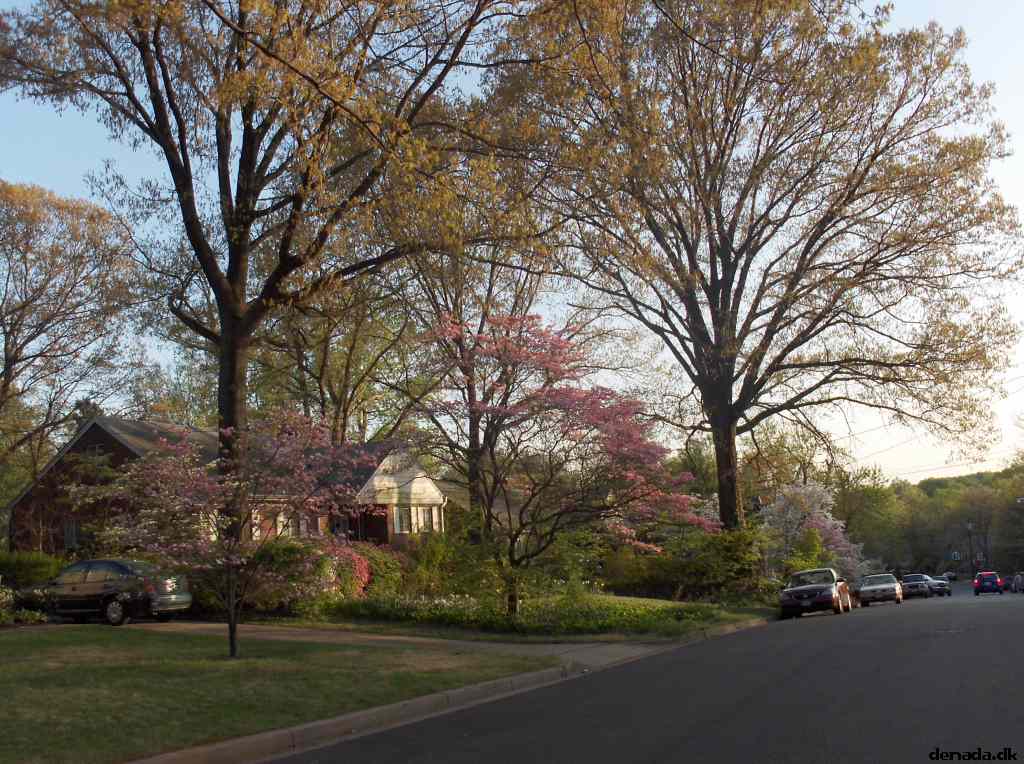 * Image 8