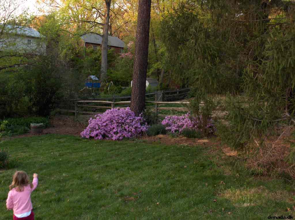 * Image 15