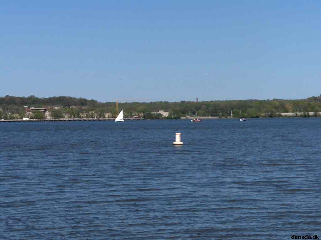 * Image 51