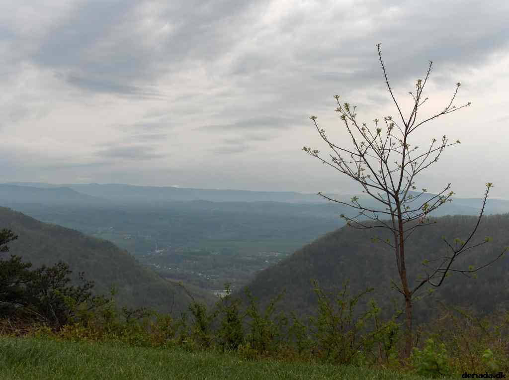 * Image 235