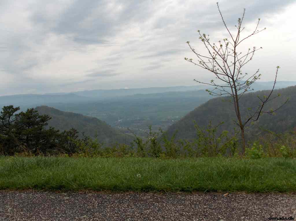 * Image 236