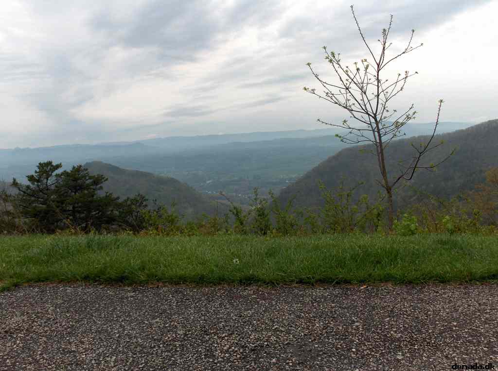 * Image 237
