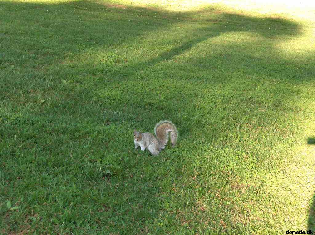 * Image 566