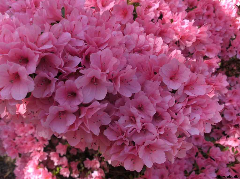 * Image 651