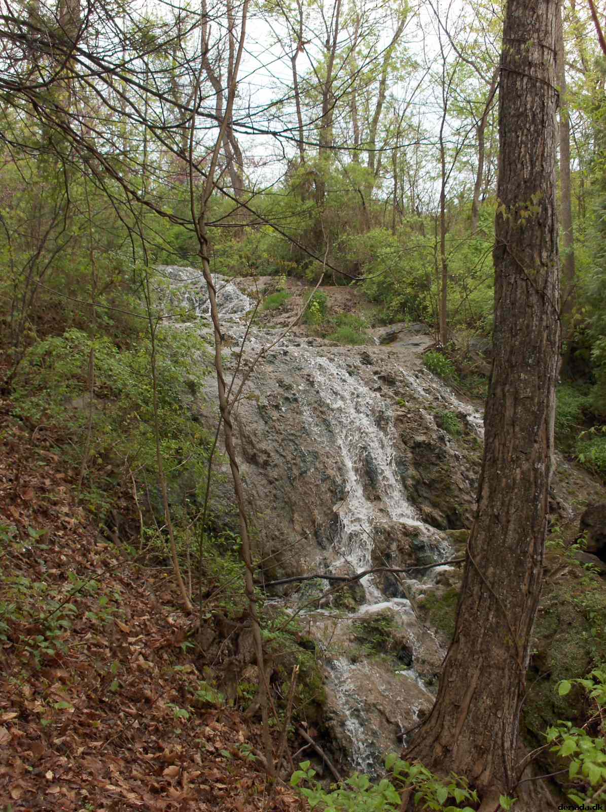 * Image 189
