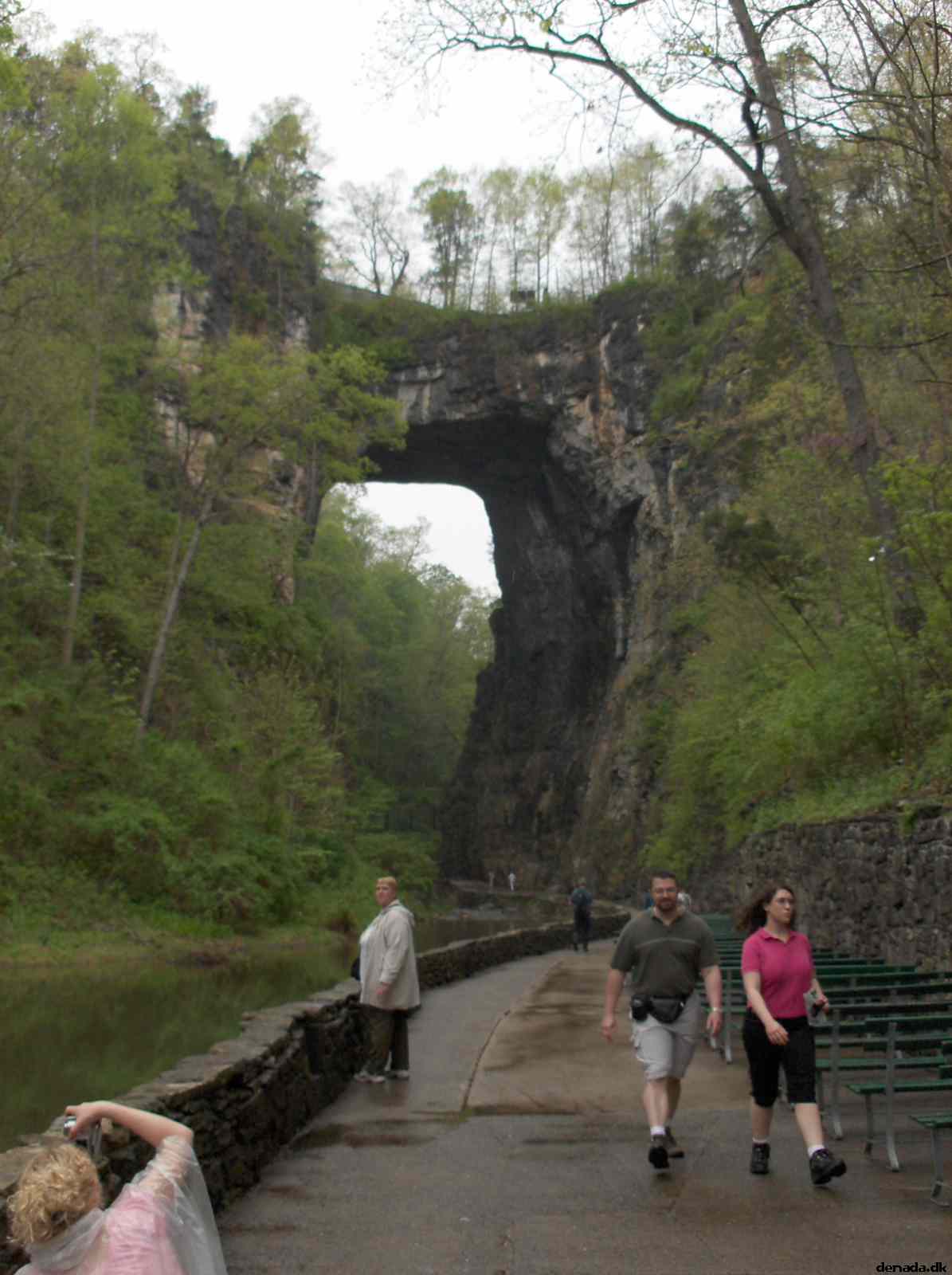 * Image 191