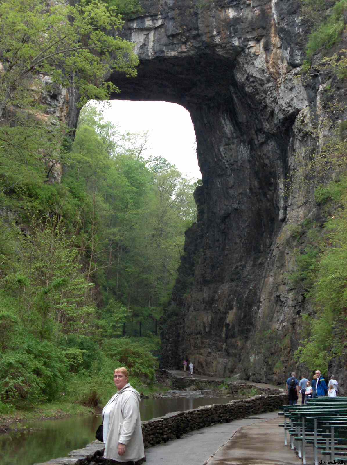 * Image 192