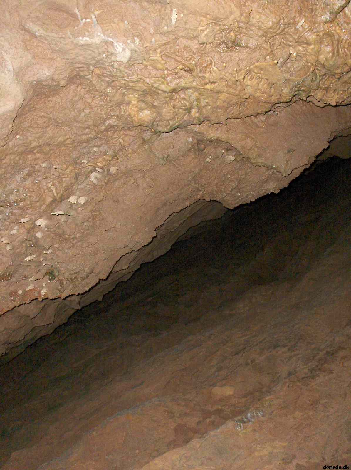 * Image 204