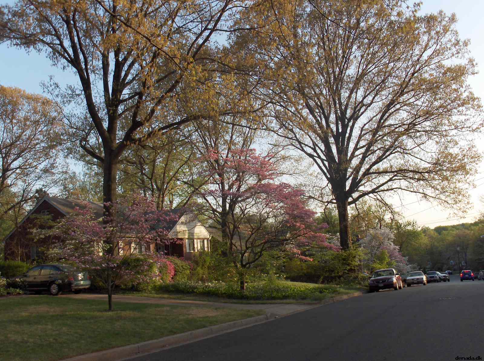 * Image 8