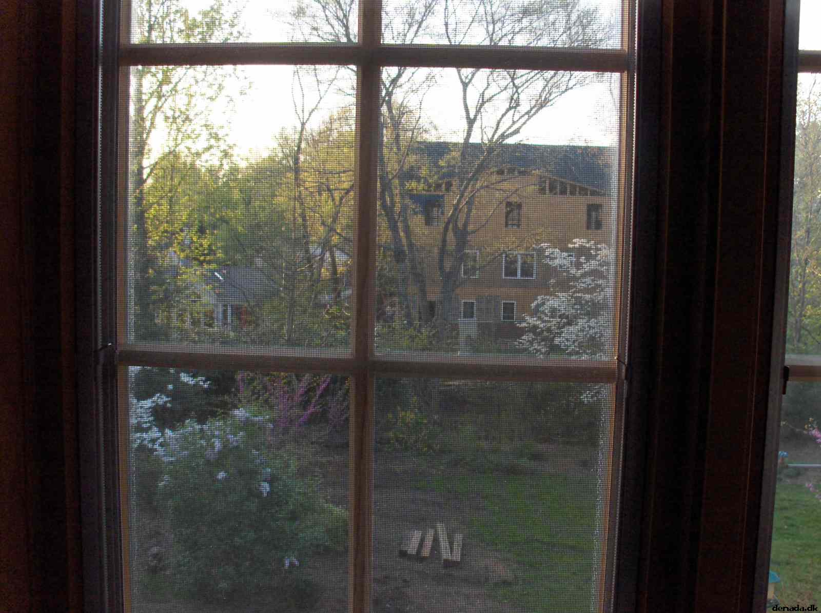 * Image 12