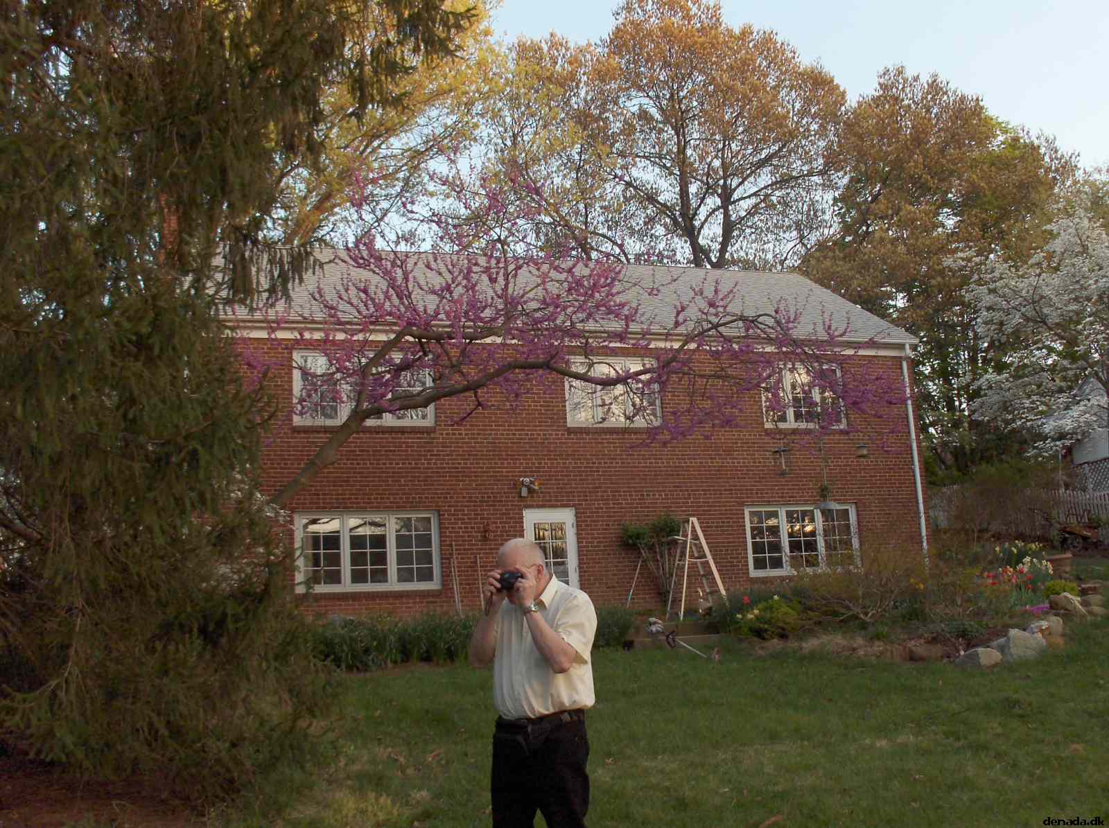 * Image 18