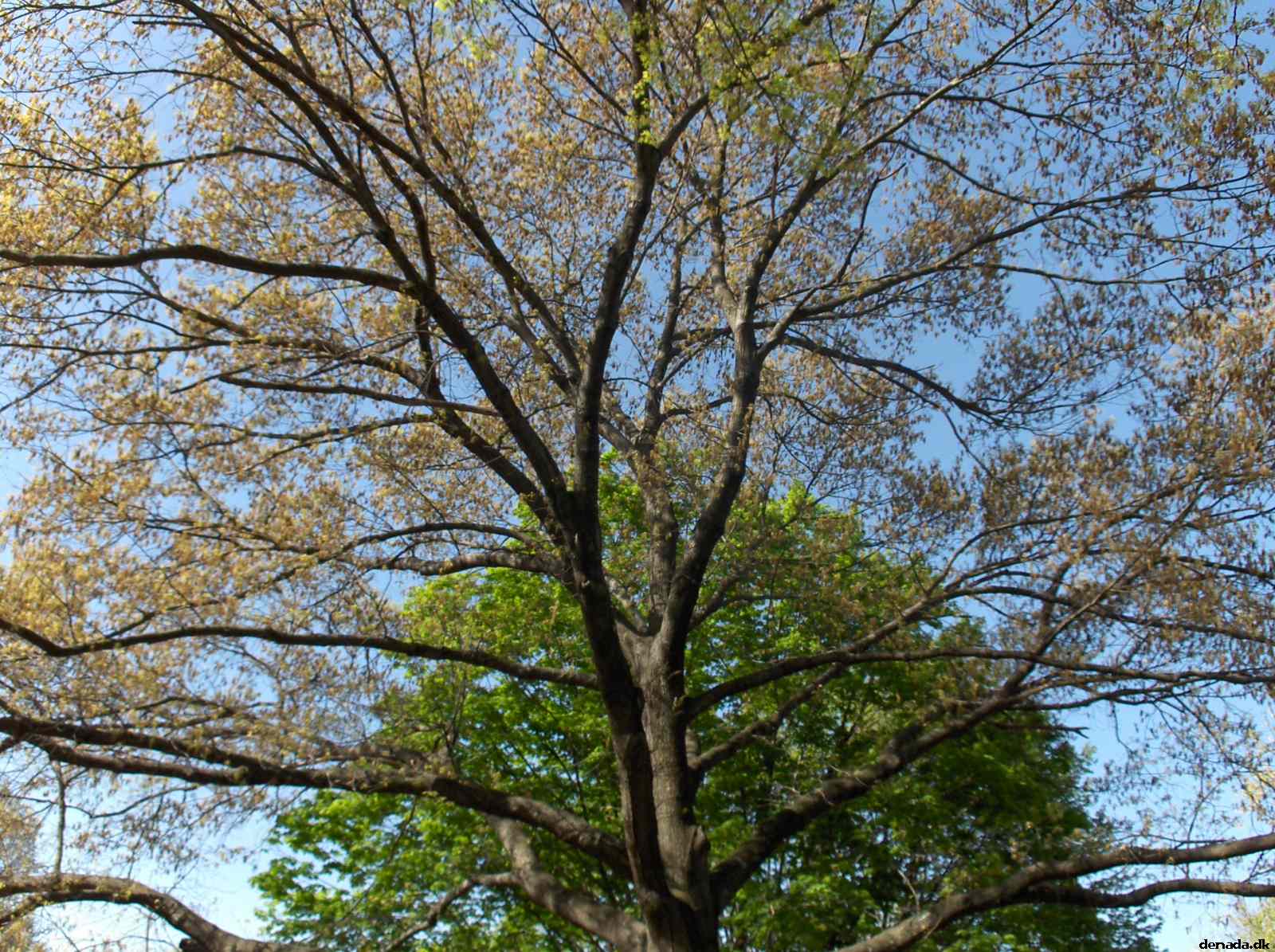 * Image 33
