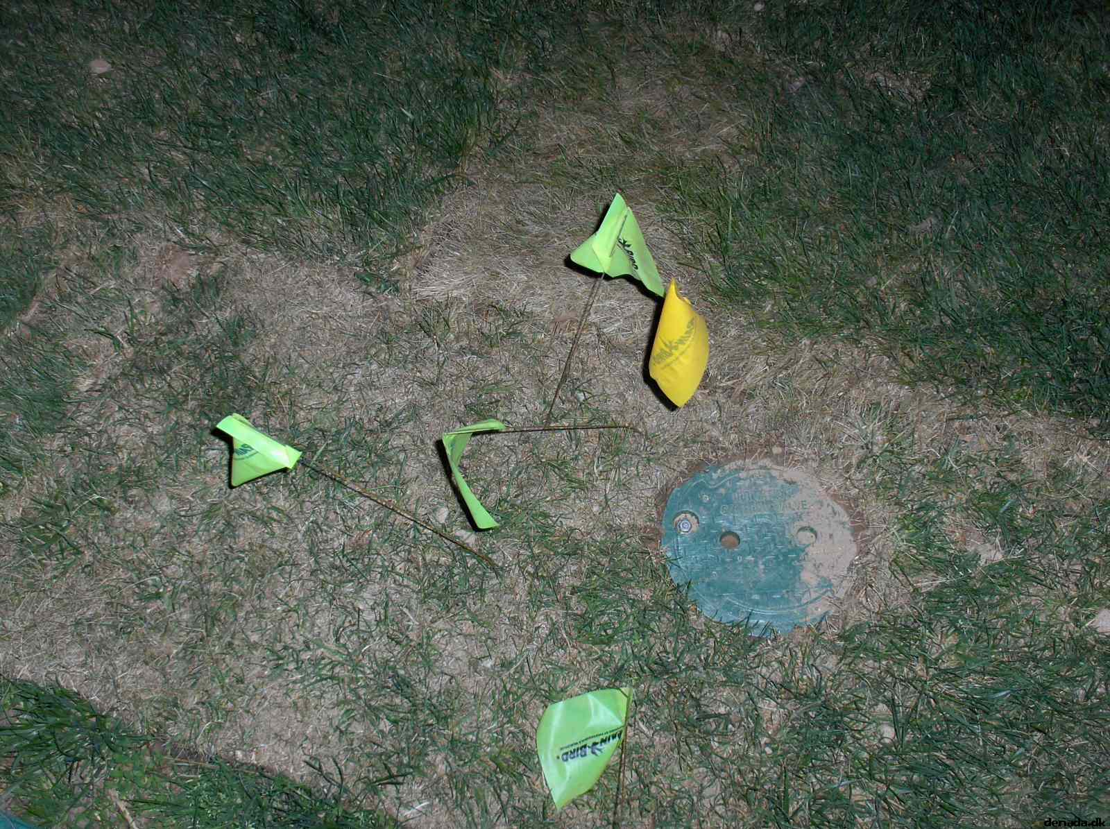* Image 142