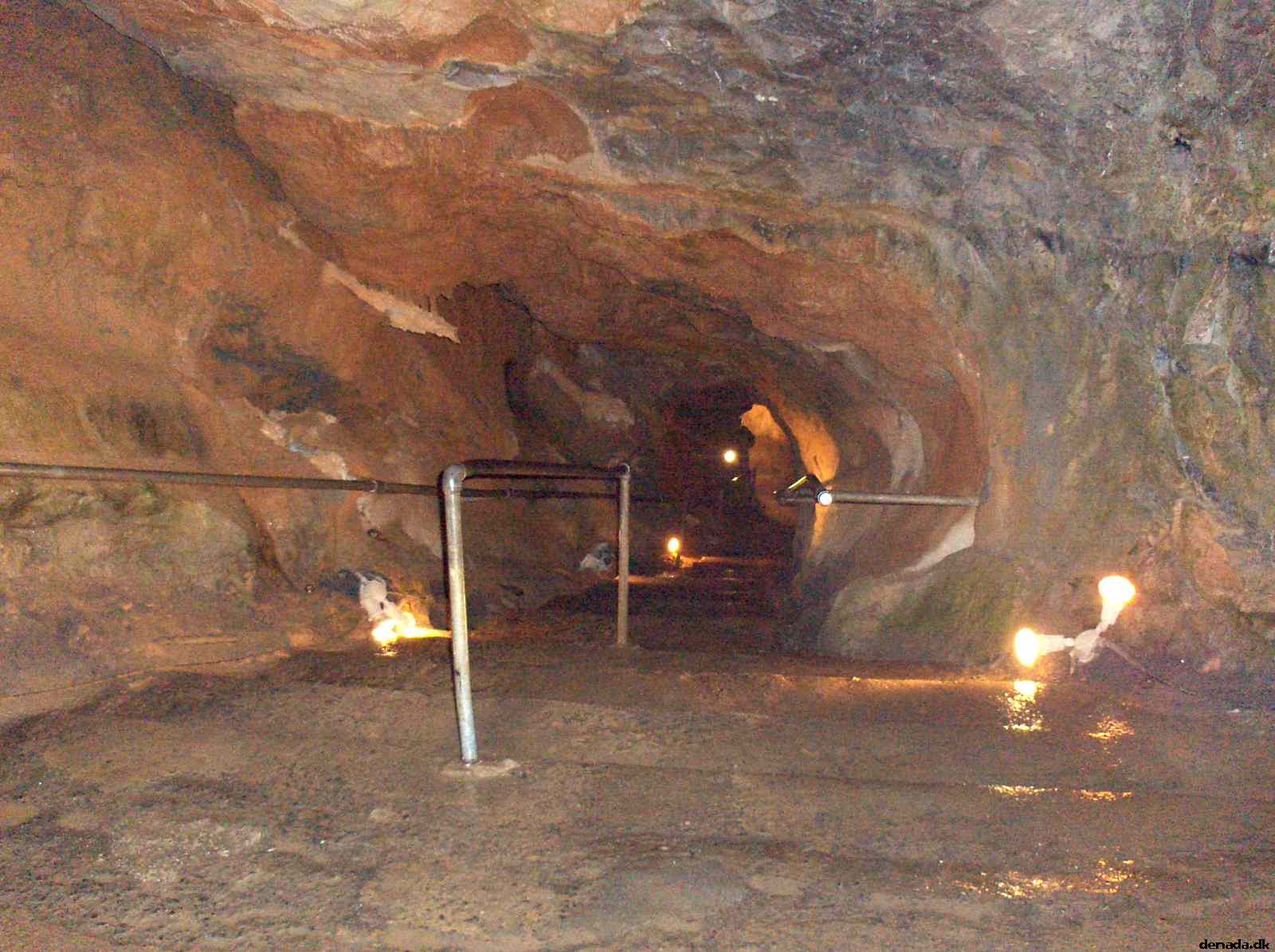 * Image 201
