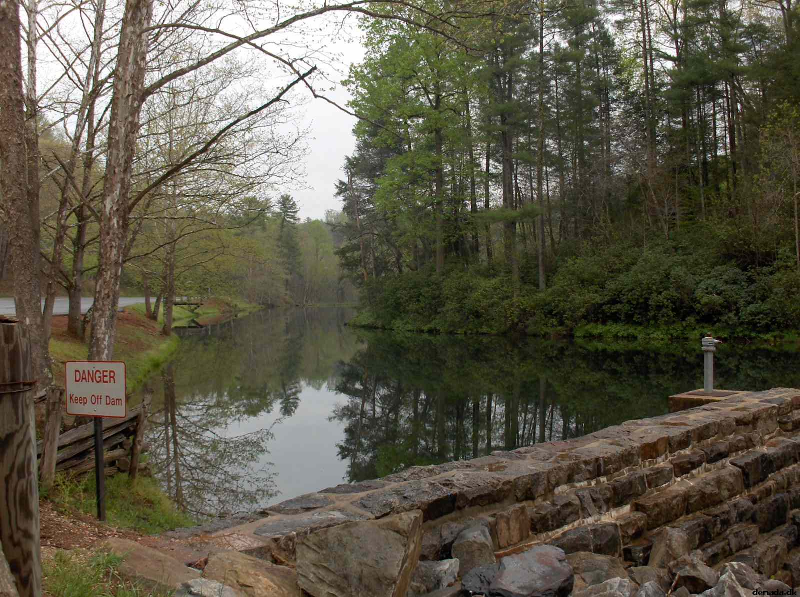* Image 231