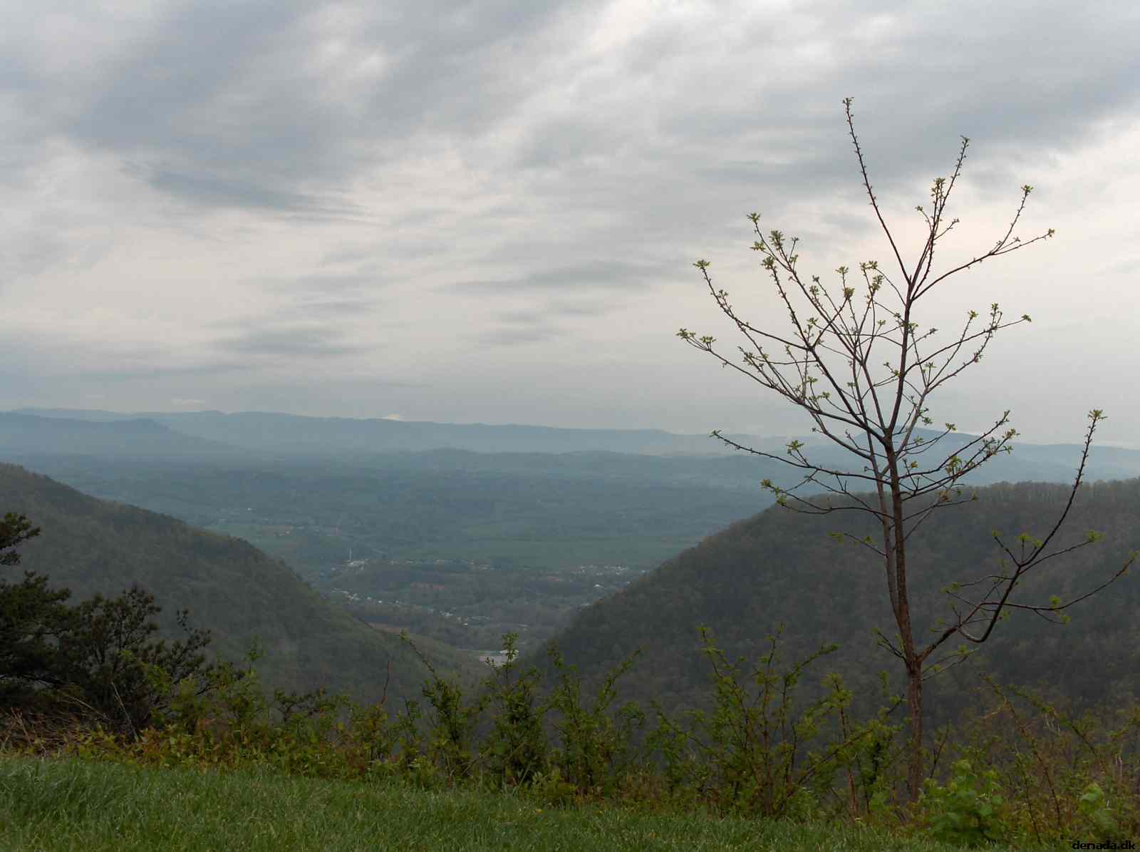 * Image 235