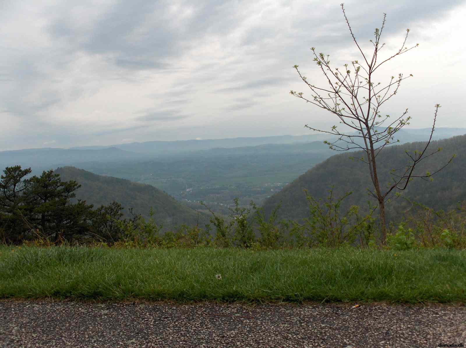 * Image 236