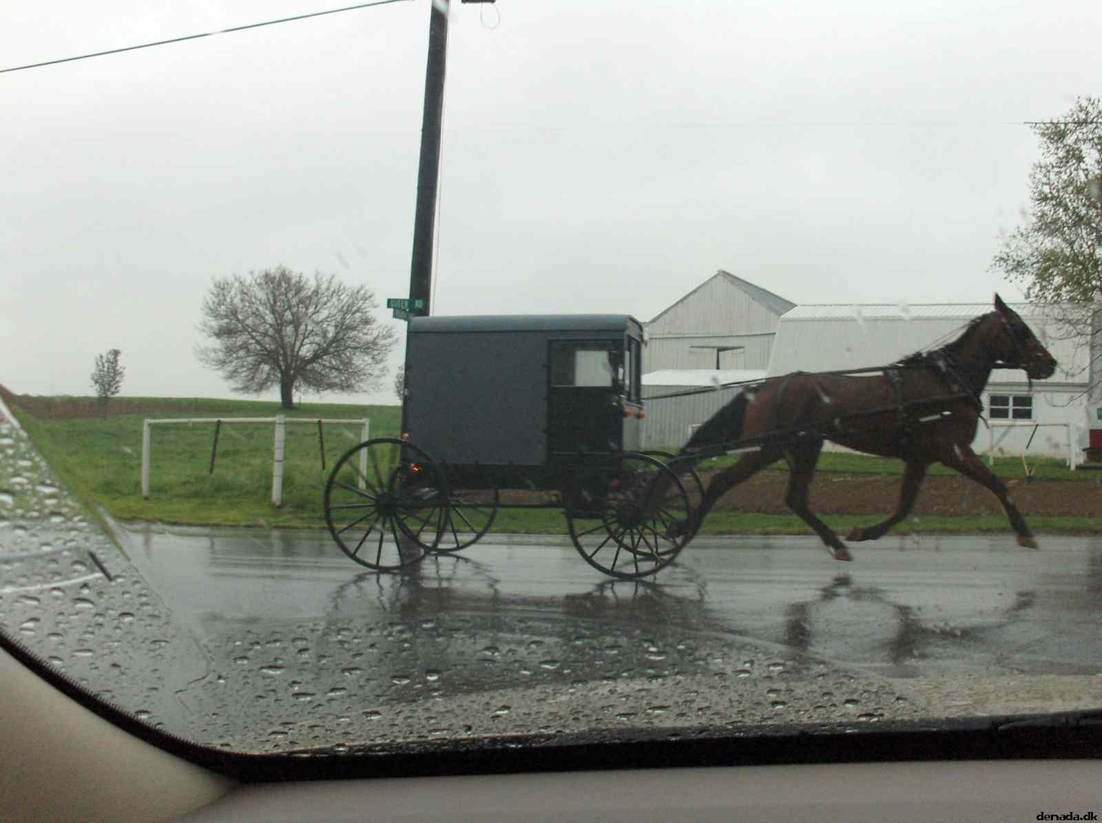 * Image 277