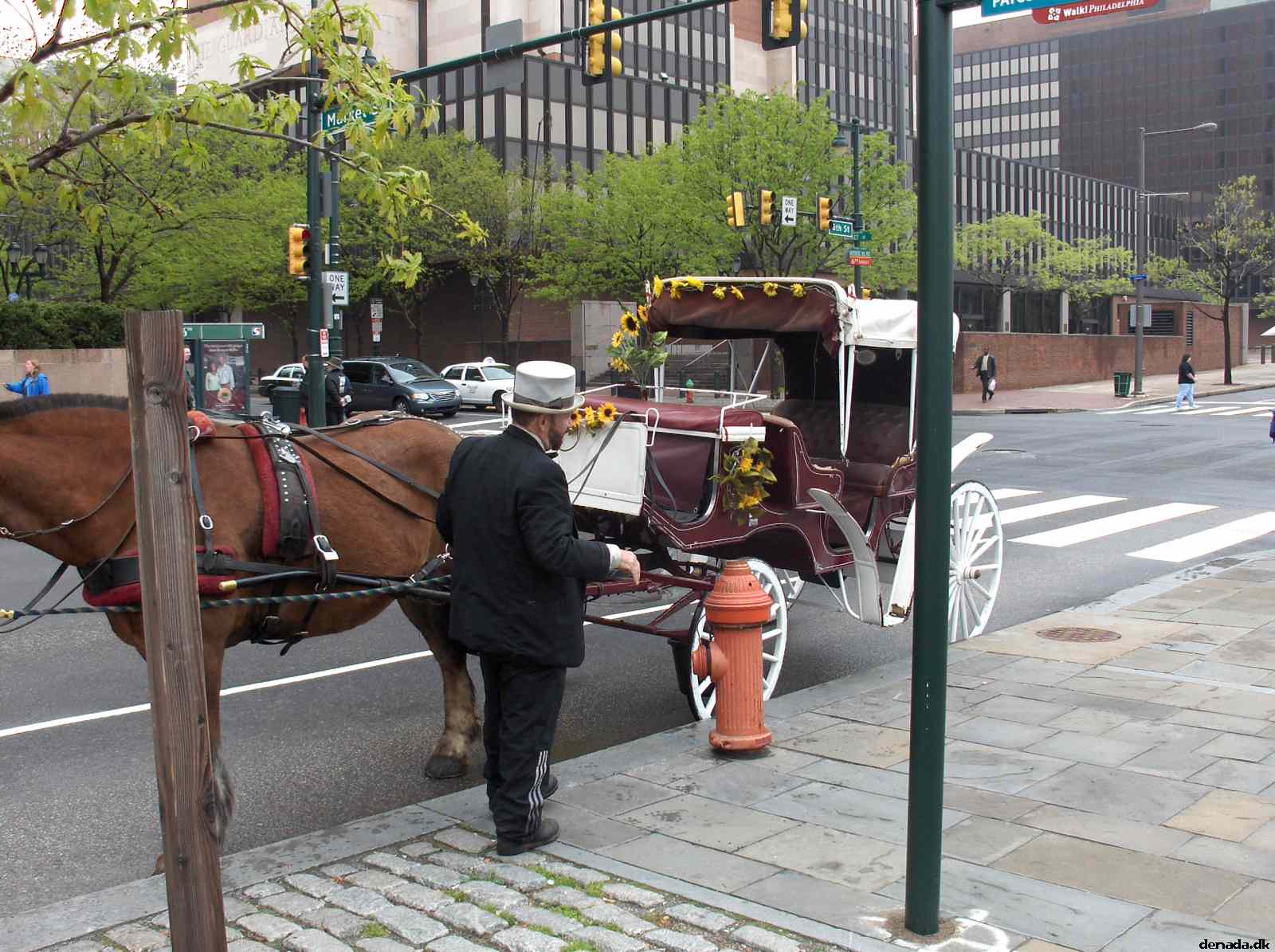 * Image 308