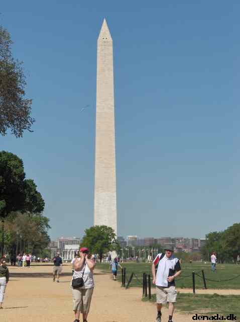 * Image 101