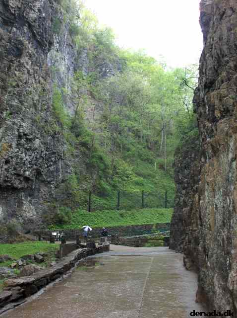 * Image 195