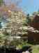 HPIM0616.JPG - 2006:04:19 10:53:57