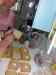HPIM0736.JPG - 2006:04:21 10:05:57