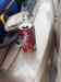 HPIM0743.JPG - 2006:04:21 13:10:38