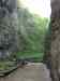 HPIM0781.JPG - 2006:04:21 15:47:53