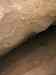 HPIM0790.JPG - 2006:04:21 16:53:03