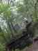HPIM0804.JPG - 2006:04:21 17:52:31