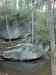 HPIM0808.JPG - 2006:04:21 17:55:01
