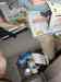 HPIM0864.JPG - 2006:04:22 16:46:28