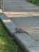HPIM1206.JPG - 2006:04:24 18:32:20