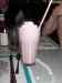 HPIM1223.JPG - 2006:04:24 20:55:33