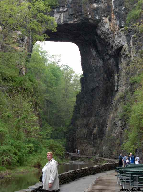 * Image 192